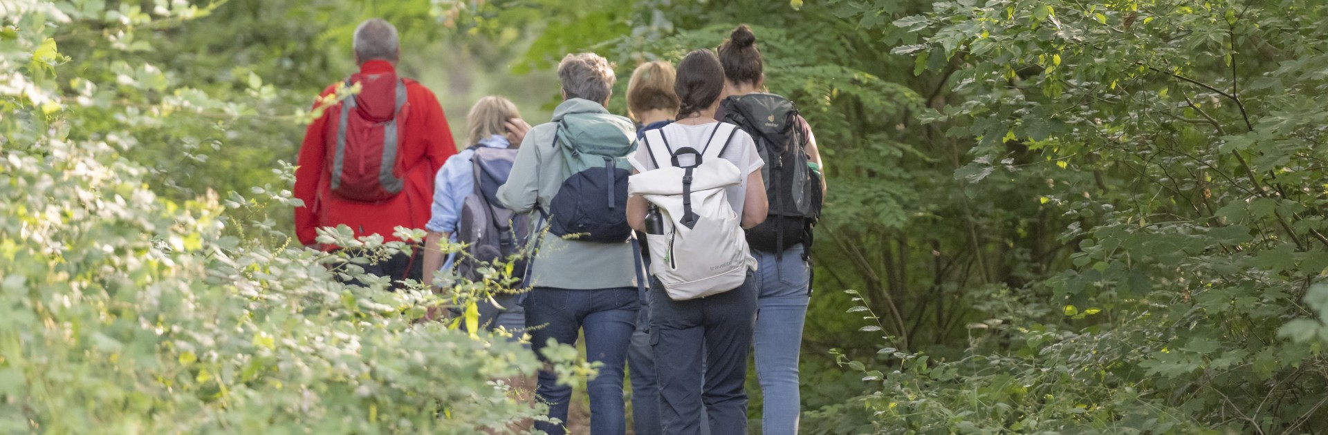 Wandergruppe auf dem bewaldeten Felsenpfad oberhalb von Trier - © Trier Tourismus und Marketing/Victor Beusch