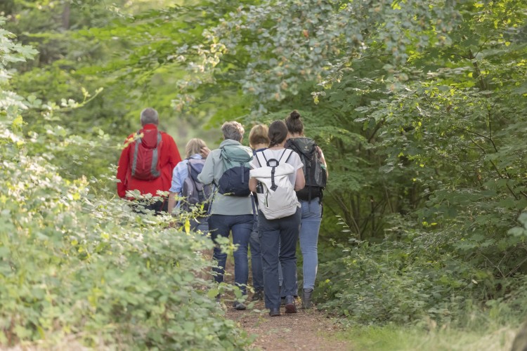 Wandergruppe auf dem bewaldeten Felsenpfad oberhalb von Trier - © Trier Tourismus und Marketing/Victor Beusch